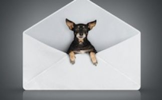 Briefpapier Varianten